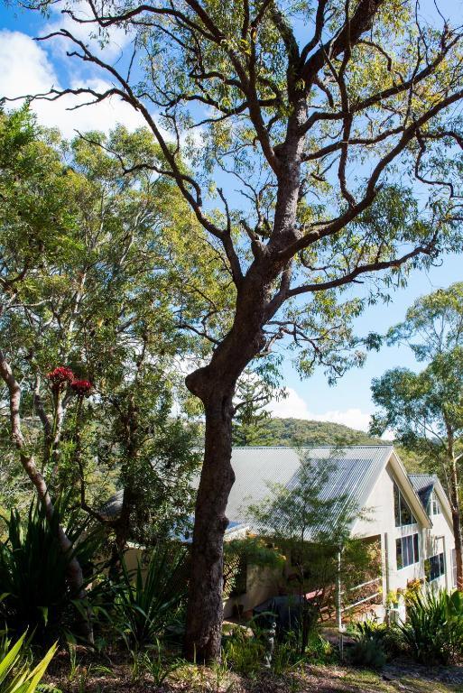 Nelson Bay Bed & Breakfast Экстерьер фото