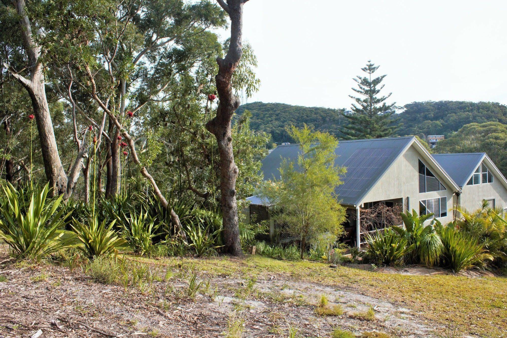 Nelson Bay Bed & Breakfast Экстерьер фото