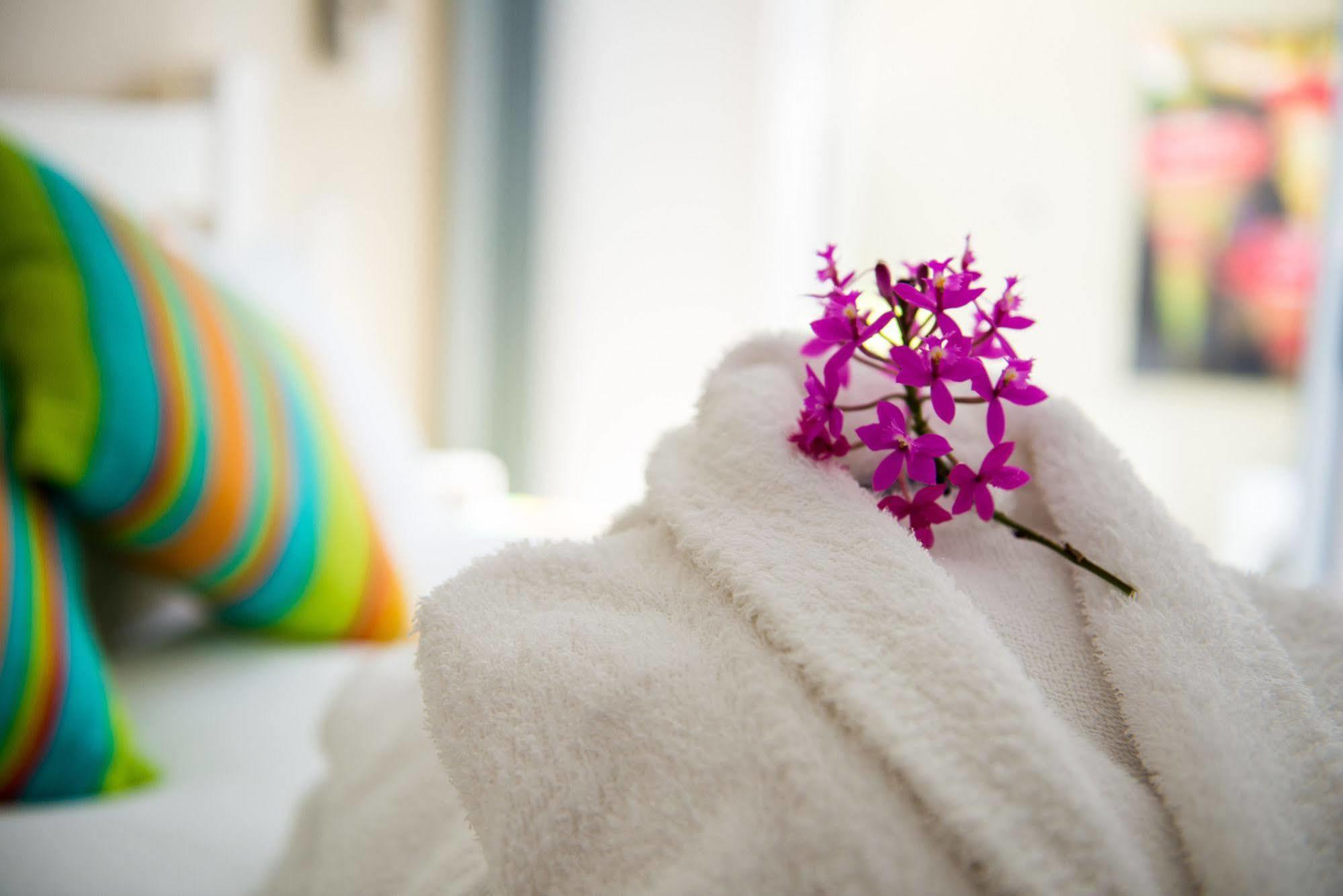 Nelson Bay Bed & Breakfast Экстерьер фото