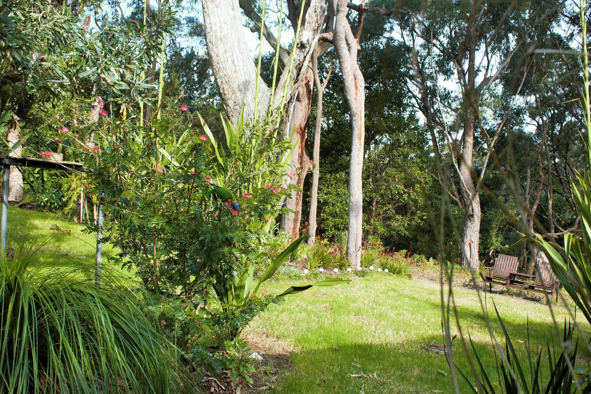 Nelson Bay Bed & Breakfast Экстерьер фото
